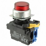A22NL-RPA-TRA-G100-RB参考图片